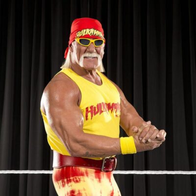 WWE Superstar Hulk Hogan